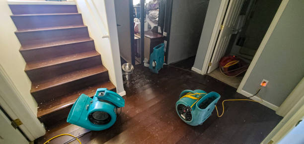 Best Water damage restoration near me  in Denver, CO