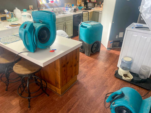 Best Ceiling water damage repair  in Denver, CO