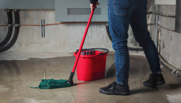 Best Flooded house restoration  in Denver, CO