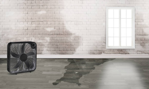 Water damage restoration experts in CO